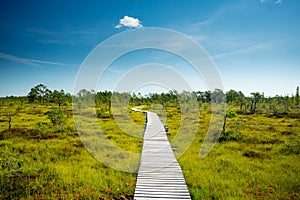 Rannametsa, Estonia. Dunes and bog