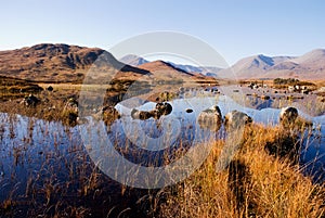 Rannoch moor