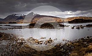 Rannoch Moor