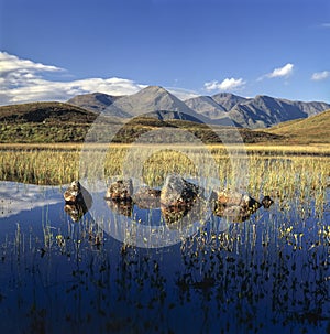 Rannoch Moor