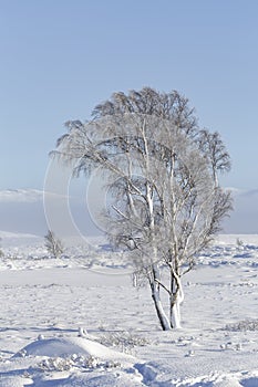 Rannoch Moor in the Scottish Highlands, UK