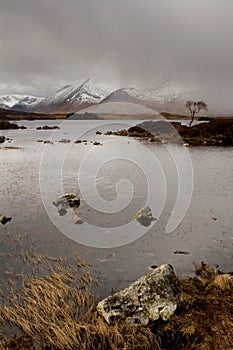 Rannoch Rain