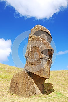 Rano Raraku moai photo