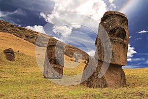 Rano raraku moai photo