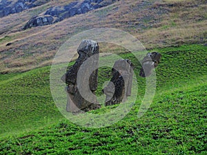 Rano Raraku Partially Buried Moais, Easter Island
