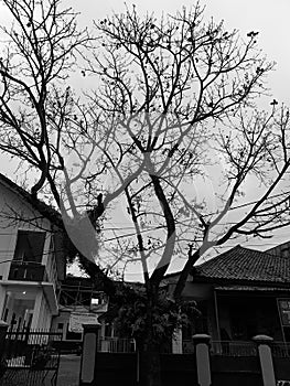 Ranting di Bawah Langit