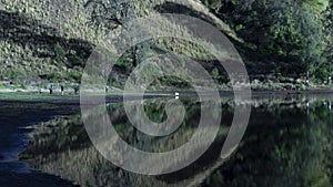 Ranu kumbolo camp site in the morning with reflection of trees