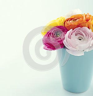 Ranunculus flowers