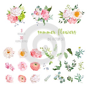 Ranunculus, rose, peony, dahlia, camellia, carnation, orchid, hydrangea flowers and decorative plants big vector collection photo
