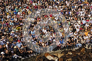 Rapa das Bestas, 2024