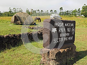 Rapa Nui National Park Sign & Scenery