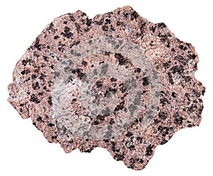 Rapakivi granite on a white background