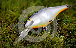 Rapala Shad Rap plug lure in rare SSH colour