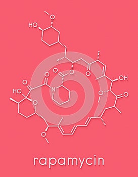 Rapamycin sirolimus immunosuppressive drug molecule. Used to prevent transplant rejection and in coronary stent coating..