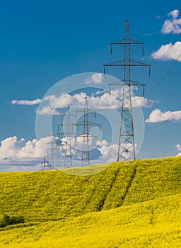 Rape field with high voltage electric towers