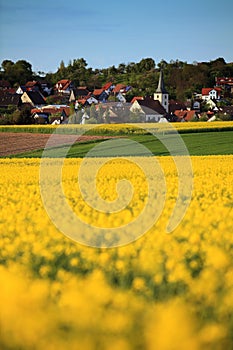 field and rural village