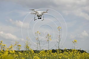 field scenery. Dron in action.