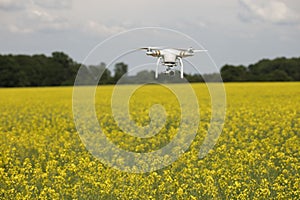 field scenery. Dron in action. photo