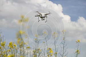 field scenery. Dron in action.