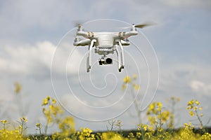 field scenery. Dron in action.