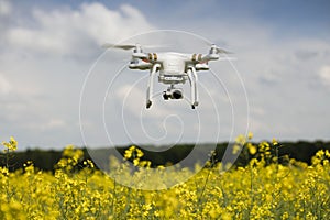 field scenery. Dron in action. photo