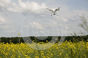 field scenery. Dron in action.