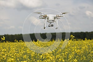 field scenery. Dron in action.