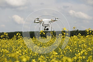 field scenery. Dron in action.