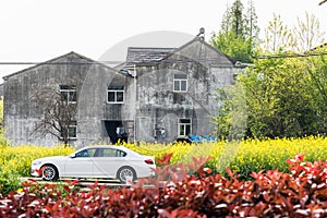 flower and house