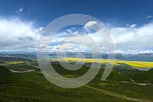 The flower scenic spot