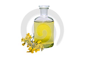 seed oil