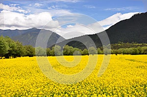 and sky in Tibet,china