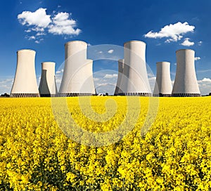 Rapesed field nuclear power plant cooling tower