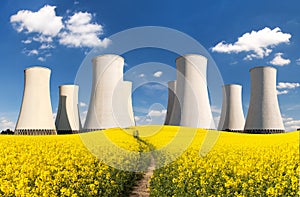 Rapesed field nuclear power plant cooling tower