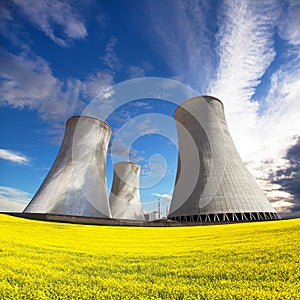 Rapeseed canola colza cooling tower