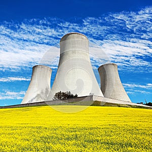 Rapeseed canola colza cooling tower