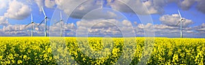 Rapeseed Field With Wind farm - Renewable Energy Panorama