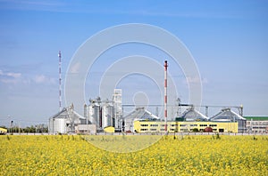 Rapeseed oil factory producing biodiesel.