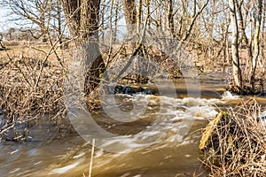 Rapid flow of meltwater from the forest, spring sunny day