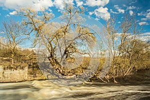 The rapid flow of the river passes near trees and shrubs, cold water small whirlpools and foam