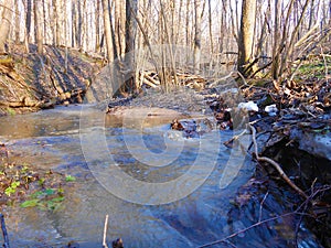 Rapid forest creek in spring with last snow.