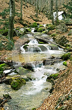 Rapid mountain river