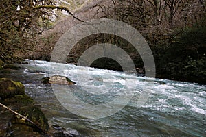 Rapid mountain river