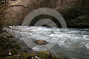 Rapid mountain river