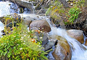 Rapid mountain stream