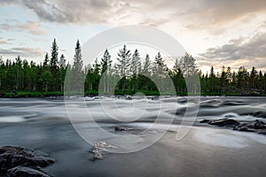 Rapid moving river with rocks in the foreground and a forest line in Norrland