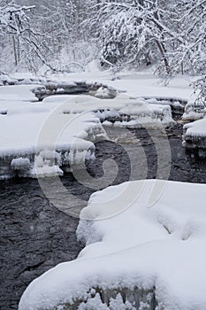 Rapid raging river flowing through snowy forest on cold winter gloomy day