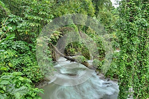 Rapid river in Jamaica