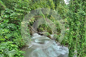 Rapid river in Jamaica photo