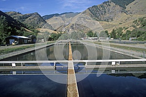 Rapid River Ranch Salmon Fish Hatchery on Route 55, ID